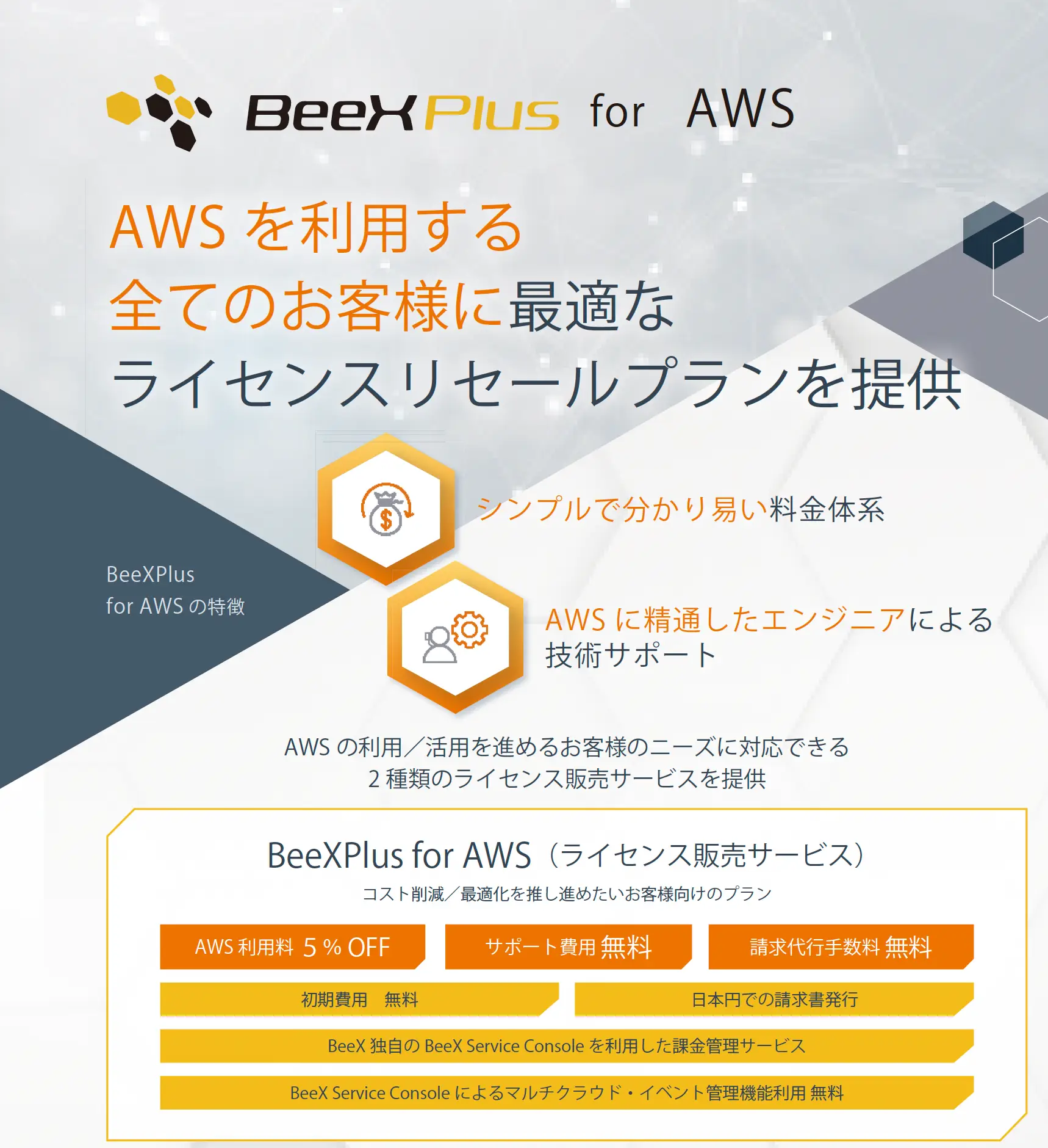 BeeXPlus for AWS 紹介リーフレット